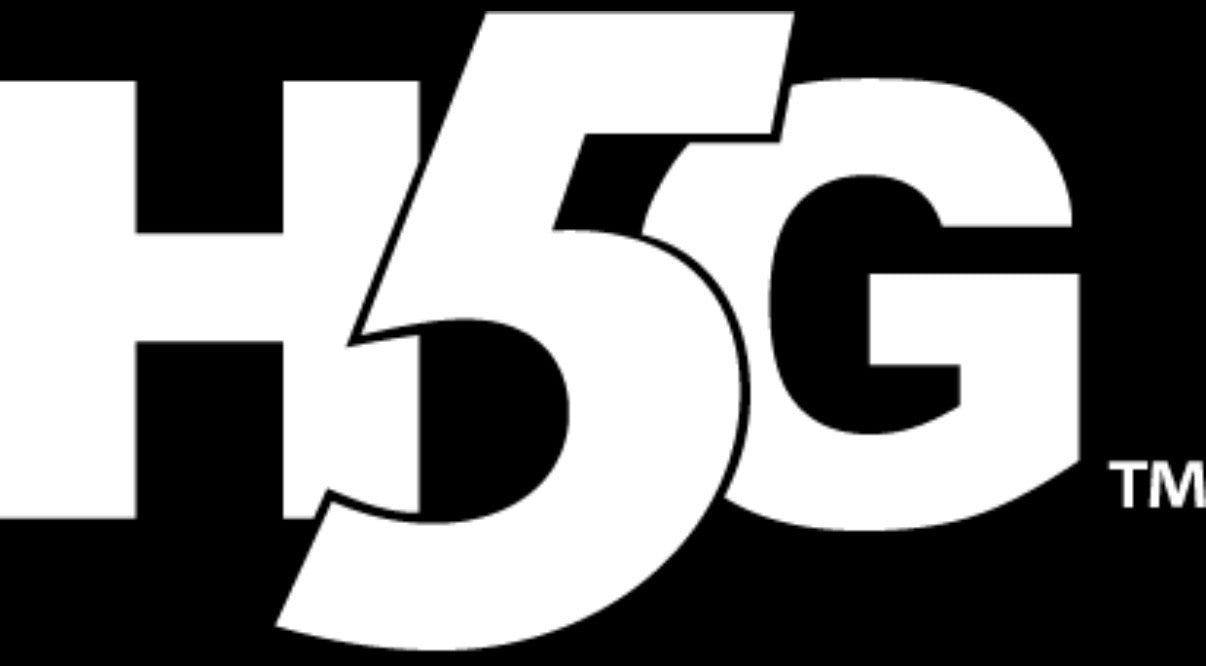 H5G HOME PAGE – H5G BRANDS