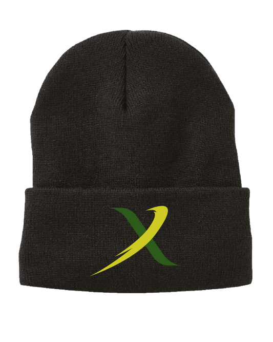 BIG X BEANIE